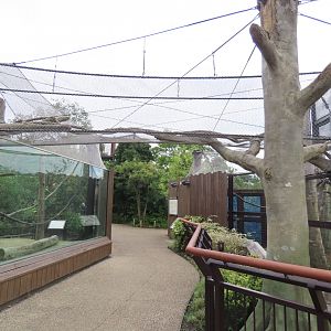 Colombus monkey exhibit