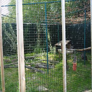 Jungle cat exhibit (Now caracal exhibit), 2019-06-01