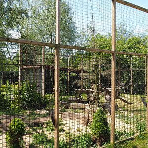 Silver fox exhibit, 2019-06-01