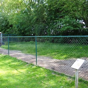 Emu paddock, 2019-06-01