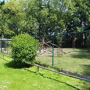 Red-necked wallaby paddock, 2019-06-01