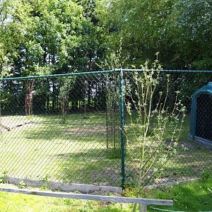 Red-necked wallaby paddock, 2019-06-01
