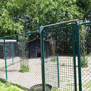 Red-necked wallaby paddock, 2019-06-01