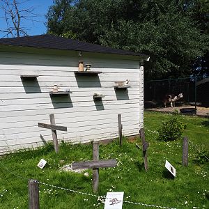 Extinct marsupials graveyard, 2019-06-01