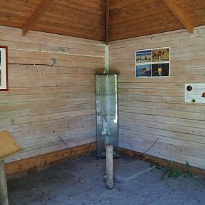 Interior of the Australian animal education shack, 2019-06-01