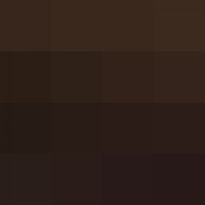 African civet and young