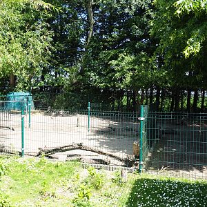 Part of the donkey paddock, 2019-06-01