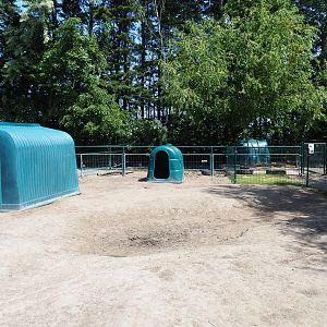 Donkey paddock, 2019-06-01