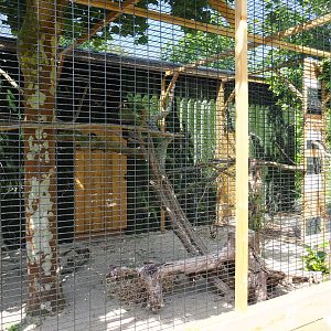 White-cheeked turaco aviary, 2019-06-01