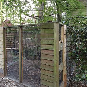 Siberian weazel enclosure