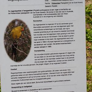 Sign Regent parrot, 2019-06-01