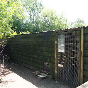 Domestic guinea barn, 2019-06-01