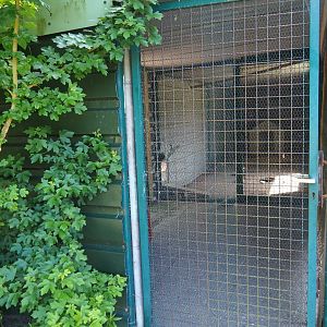 Inside of the domestic guinea barn, 2019-06-01