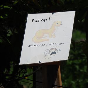 Watch out - We can bit hard sign by Siberian weasel exhibit, 2019-06-01