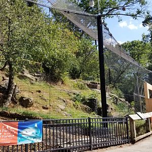Brandywine Zoo - Andean Condors, from entrance