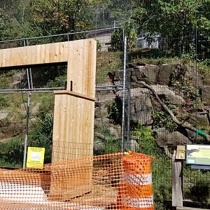 Brandywine Zoo - Andean Condors, construction on viewing area