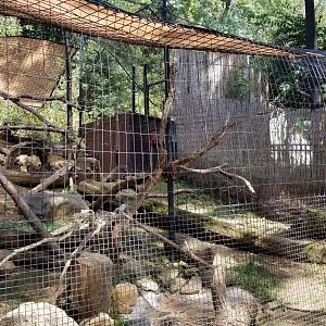 Brandywine Zoo - North American Porcupine
