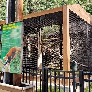 Brandywine Zoo - Red Pandas