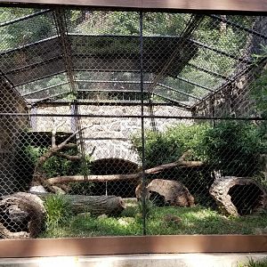 Brandywine Zoo - Swift Fox