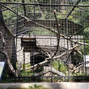 Brandywine Zoo - Serval