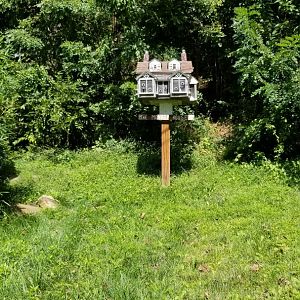 Brandywine Zoo - "Monkey House" bird house