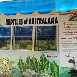 Brandywine Zoo - Reptiles of Australasia