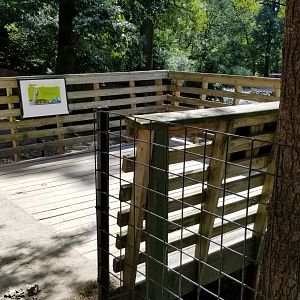 Brandywine Zoo - Llama viewing platform
