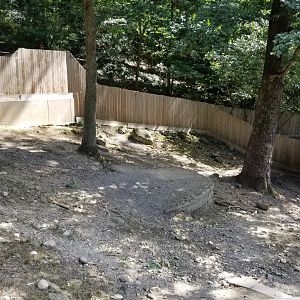 Brandywine Zoo - Llamas, from left of viewing platform