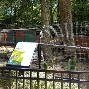 Brandywine Zoo - American Alligators