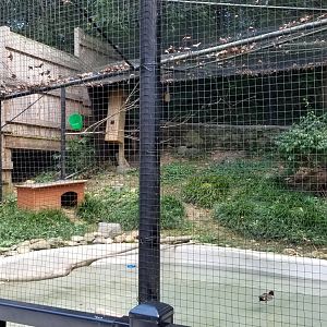 Brandywine Zoo - Aviary