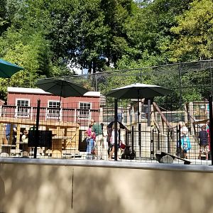 Brandywine Zoo - new goat area