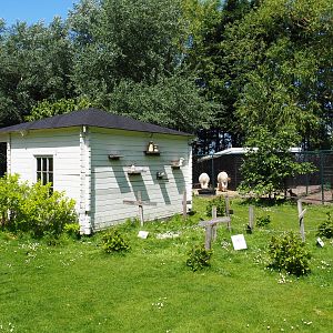Park view with grass pathways, Australian education shack, extinct marsupial graveyard and paddocks in the background, 2019-06-01