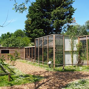 View towards Cape genet exhibit, 2019-06-01