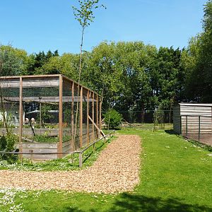 Park view, 2019-06-01