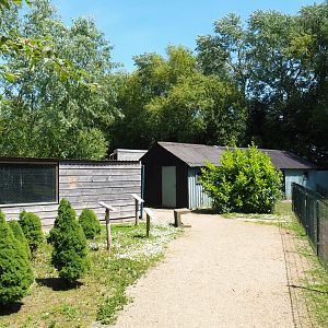View near capybara, duck, slider and stork exhibit, 2019-06-01
