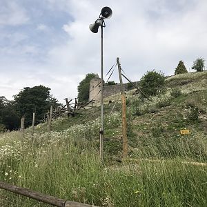Gelada enclosure 230619