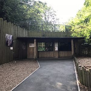 Sumatran tiger viewing area 230619