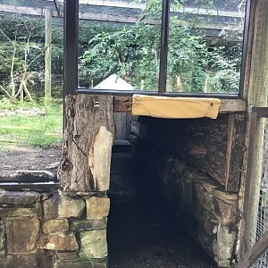 Viewing tunnel underneath Carpathian lynx enclosure 230619