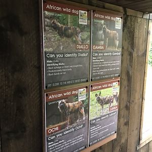 African wild dog signage 230619