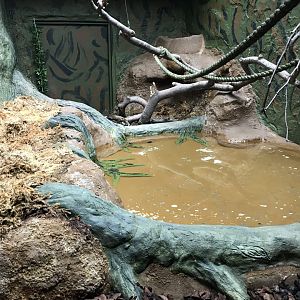 Reptile House - Bornean blood python exhibit 230619