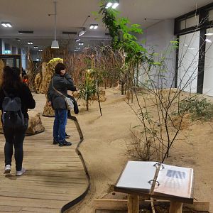 Desert House at Nuremberg, 07/09/19