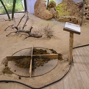 Dung Station - Desert House at Nuremberg, 07/09/19