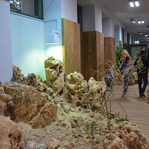 Desert House at Nuremberg, 08/09/19