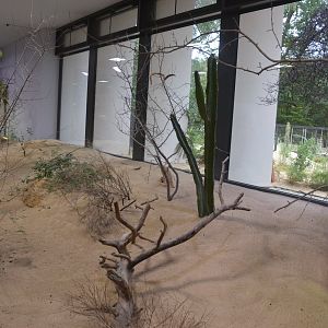 Desert House at Nuremberg, 08/09/19