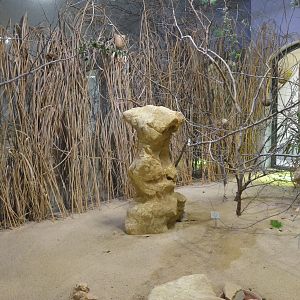 Desert House at Nuremberg, 08/09/19