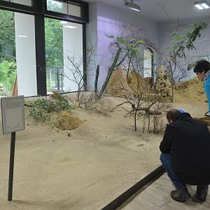 Desert House at Nuremberg, 08/09/19