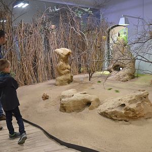 Desert House at Nuremberg, 08/09/19