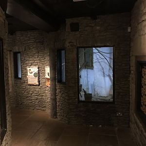 Castle Creatures - Roof/Black rat enclosure 230619