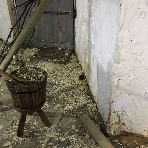 Castle Creatures - Roof/Black rat enclosure 230619