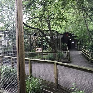 Primate enclosures 230619